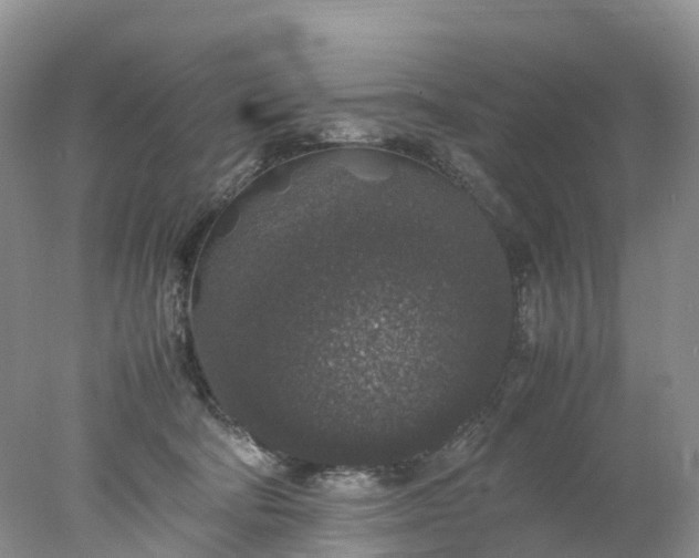 X0000078020322200611101853