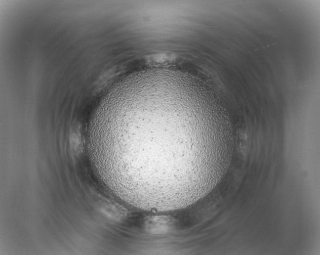 X0000078020324200611101853