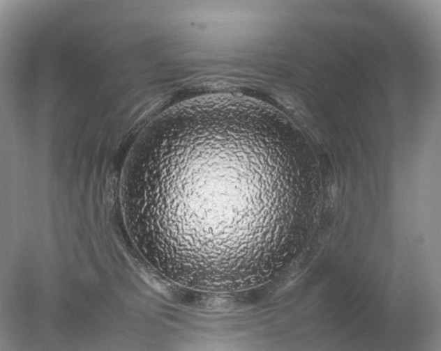 X0000078020325200611101853