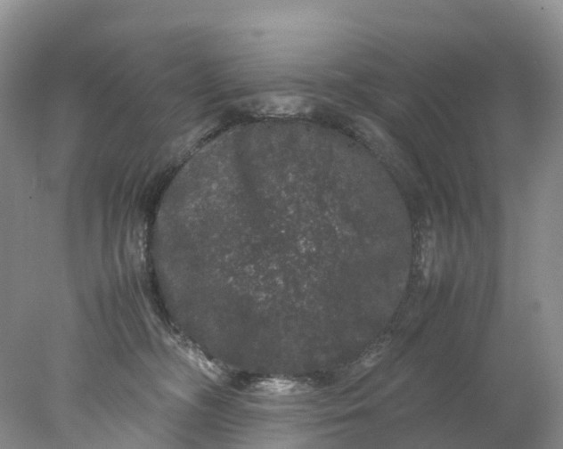 X0000078020326200611101853