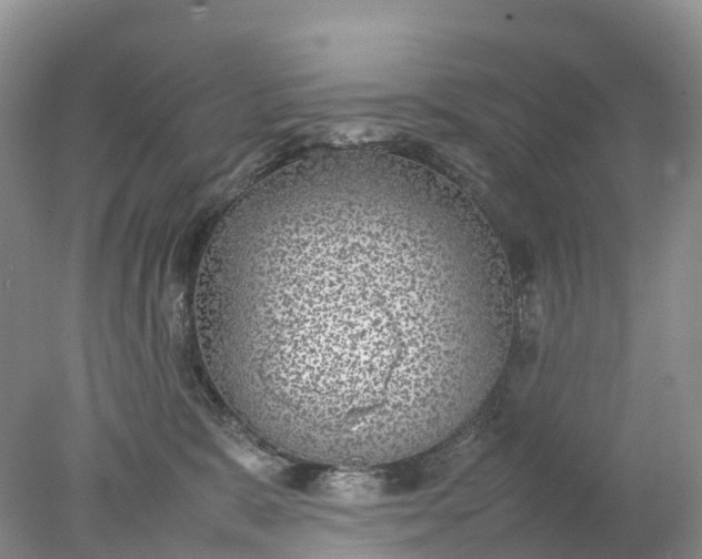 X0000078020327200611101853