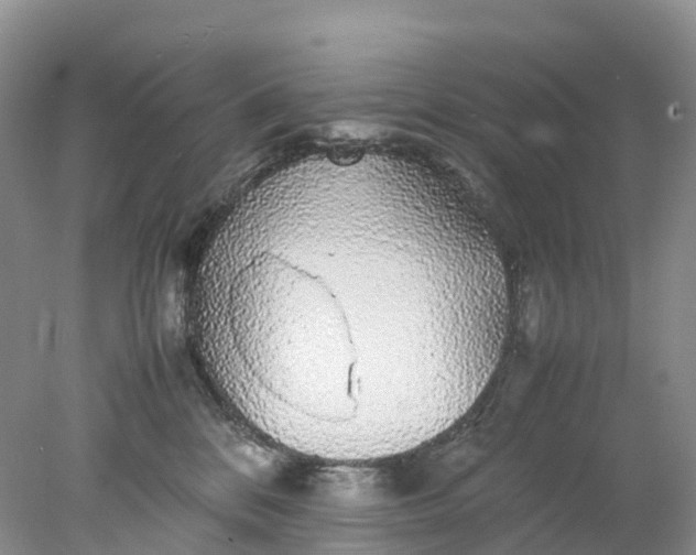 X0000078020328200611101853