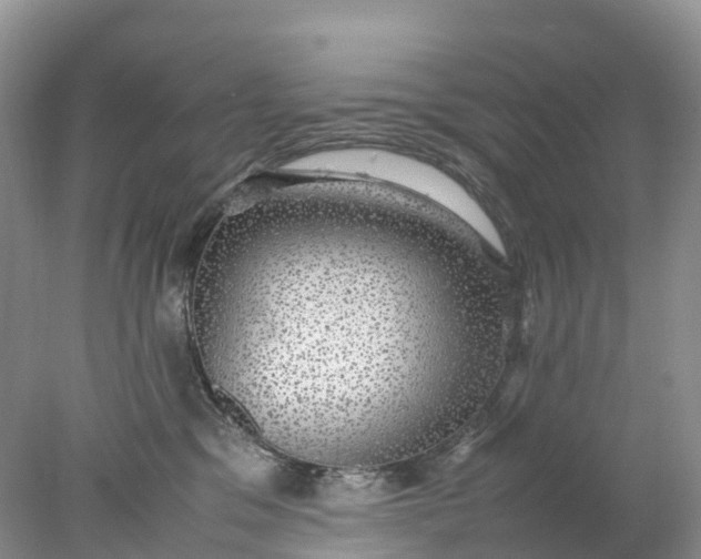 X0000078020329200611101853