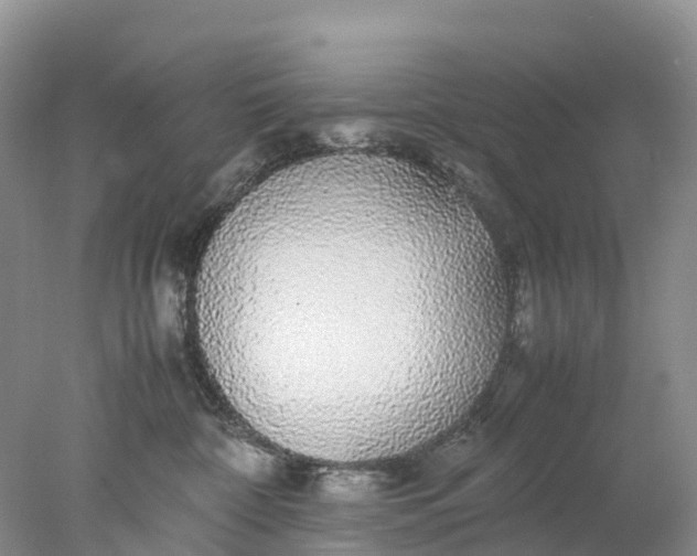 X0000078020332200611101853