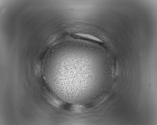 X0000078020333200611101853