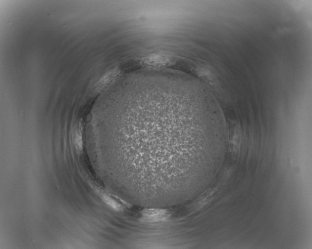 X0000078020334200611101853