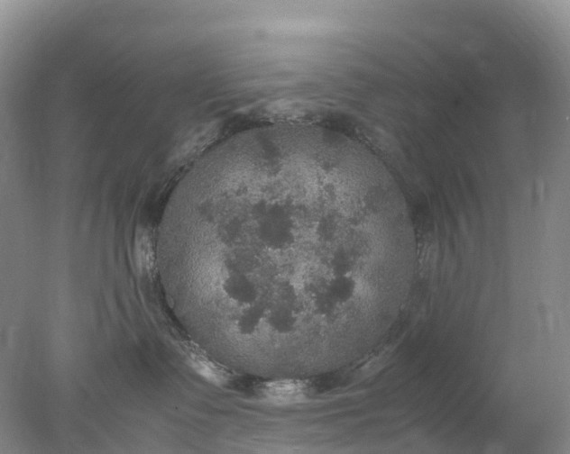 X0000078020335200611101853