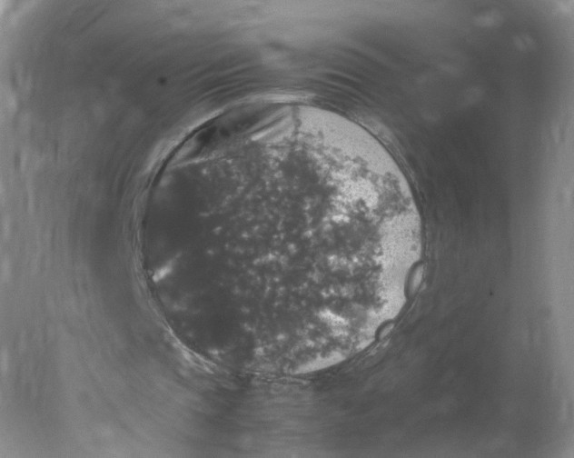 X0000078020337200611101852