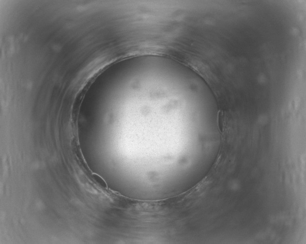 X0000078020338200611101852