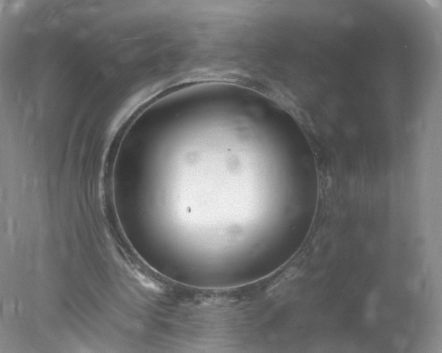 X0000078020340200611101852