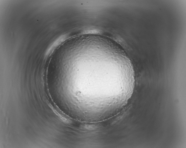 X0000078020341200611101852