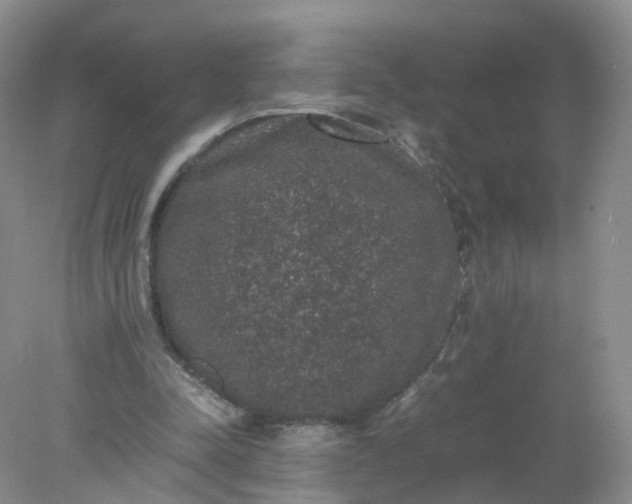 X0000078020342200611101852