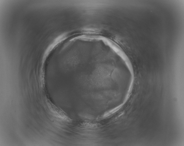 X0000078020343200611101852