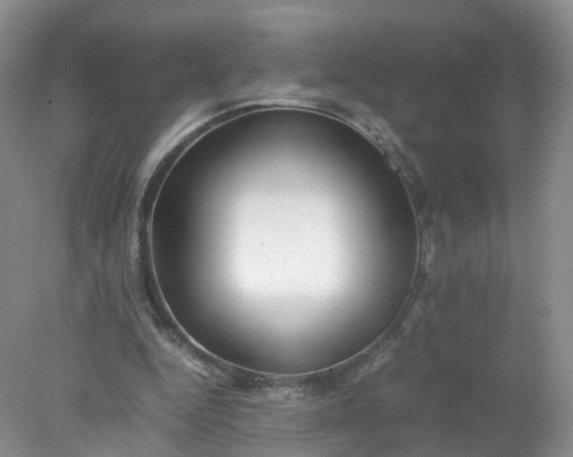 X0000078020344200611101852