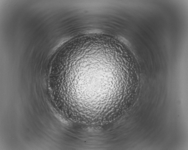 X0000078020345200611101852