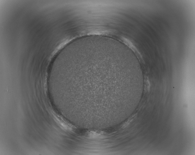 X0000078020346200611101852