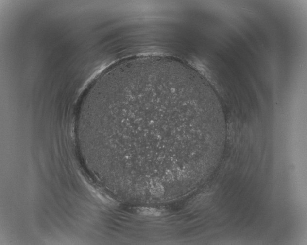 X0000078020347200611101852