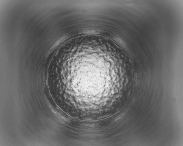 X0000078020349200611101852