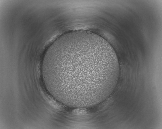 X0000078020354200611101853