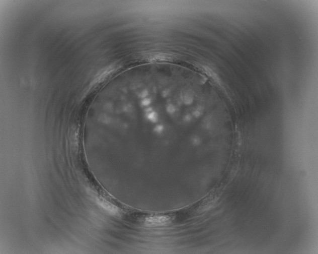 X0000078020357200611101853