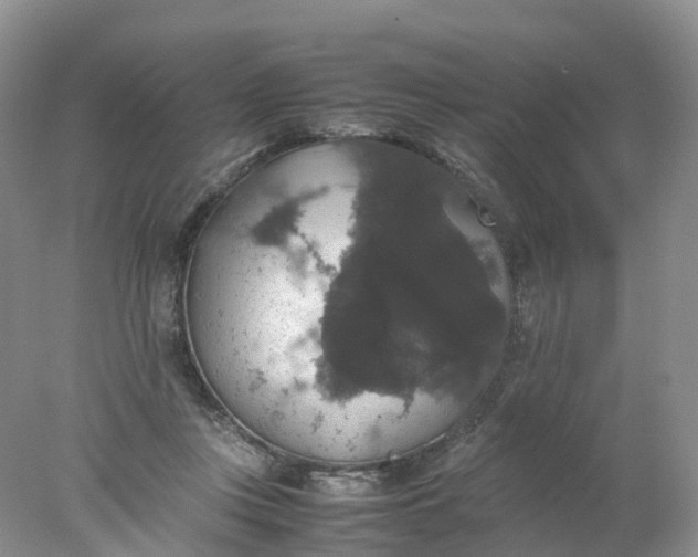 X0000078020359200611101853