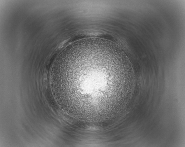 X0000078020360200611101853