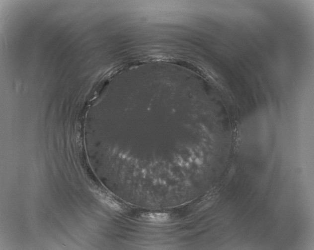 X0000078020361200611101853