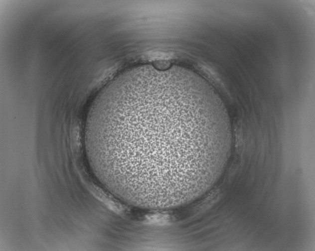 X0000078020362200611101853