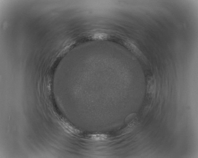 X0000078020363200611101853