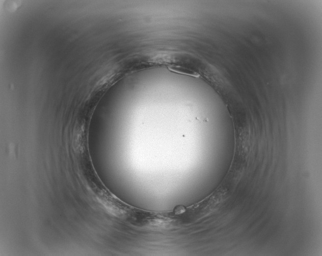 X0000078020364200611101853