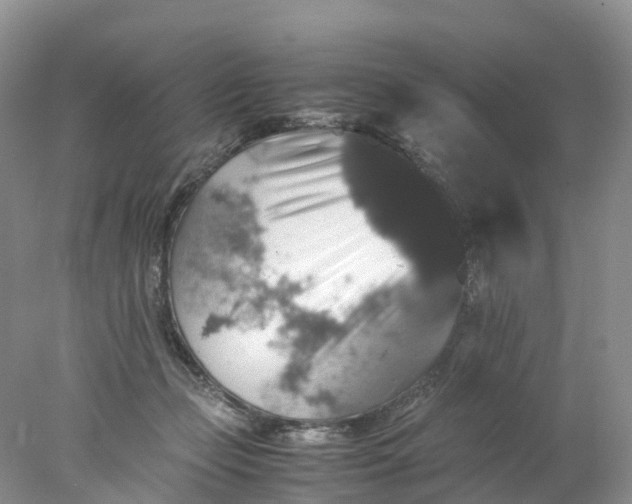 X0000078020365200611101853