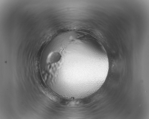 X0000078020366200611101853