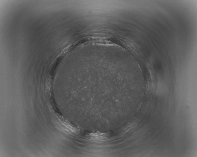 X0000078020367200611101853