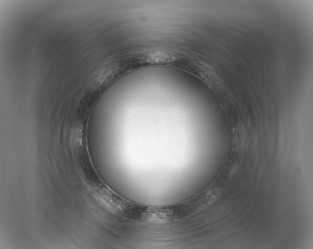 X0000078020368200611101853