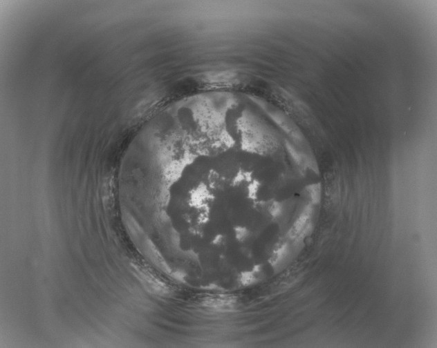 X0000078020369200611101853