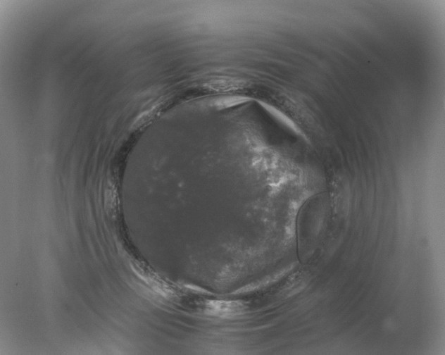 X0000078020371200611101853