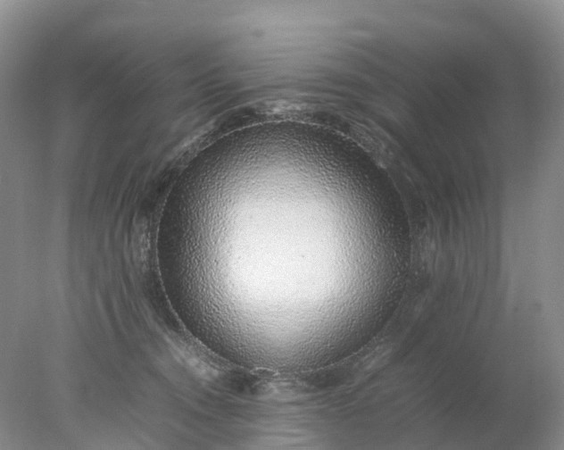 X0000078020372200611101853