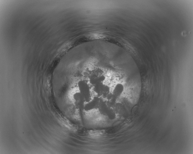 X0000078020373200611101853