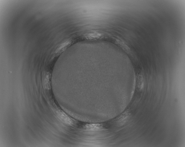 X0000078020378200611101853