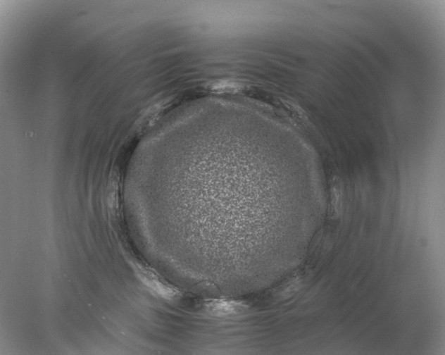 X0000078020379200611101853