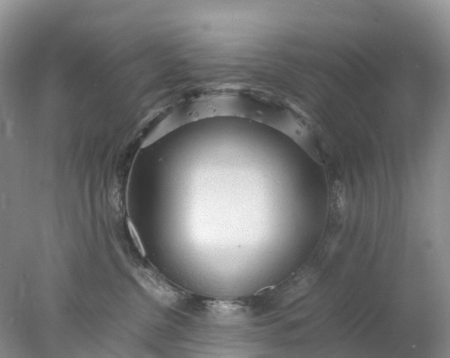 X0000078020380200611101853