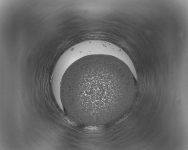 X0000078020381200611101853