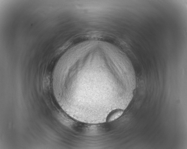 X0000078020382200611101853