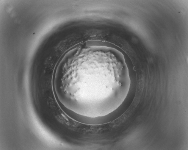 X0000078020383200611101853