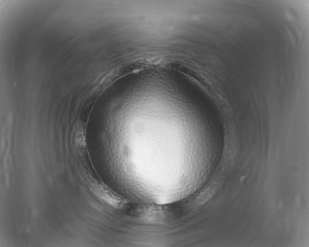 X0000078020384200611101853