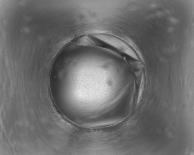 X0000078020385200611101852