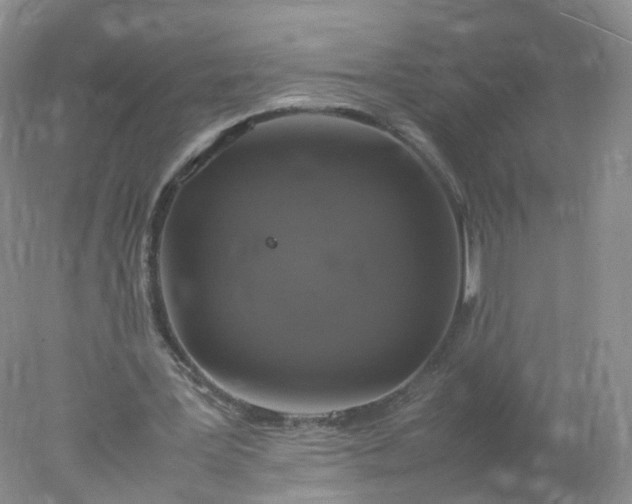 X0000078020387200611101852