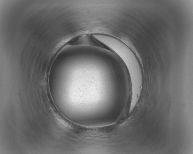 X0000078020389200611101852