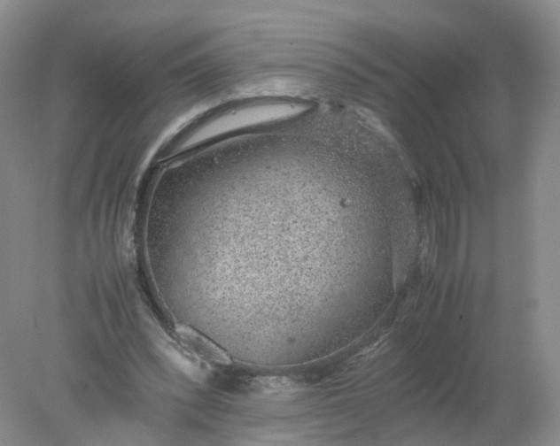 X0000078020392200611101852