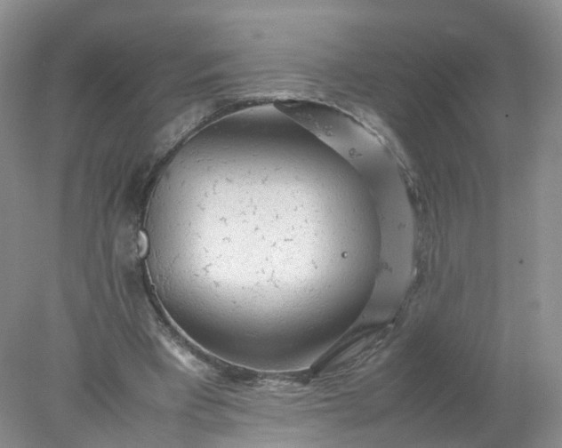 X0000078020393200611101852